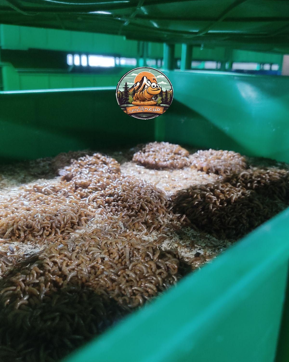 میلورم|لوازم جانبی حیوانات|شیراز, حسن آباد|دیوار