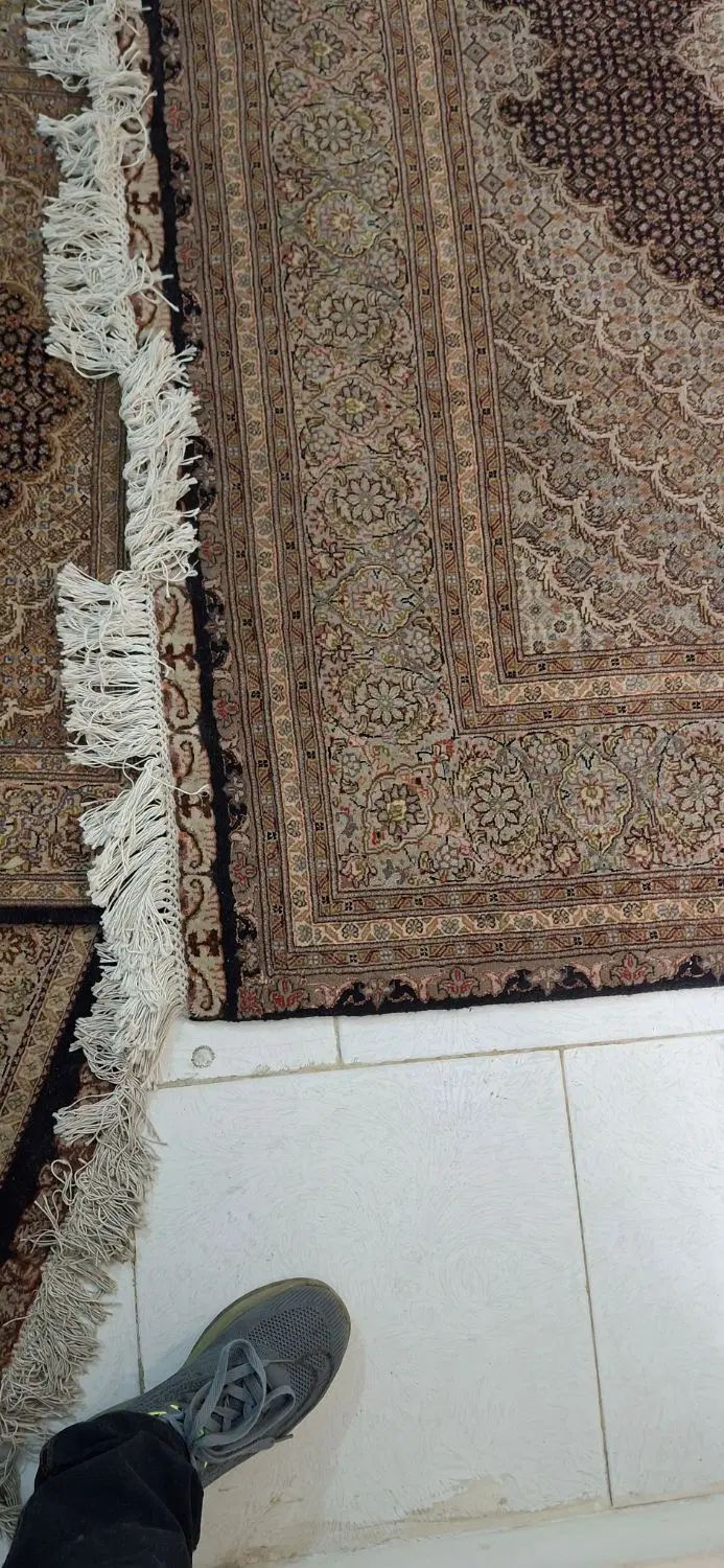 جفت۶ متری ماهی تبریز|فرش|تهران, نیلوفر|دیوار