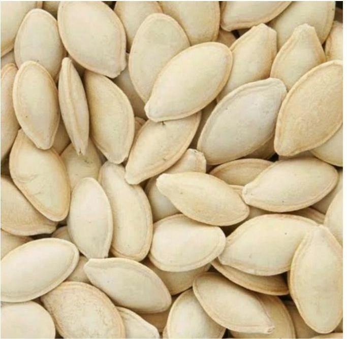 کدو خام تخمه|خوردنی و آشامیدنی|اصفهان, جی شیر|دیوار