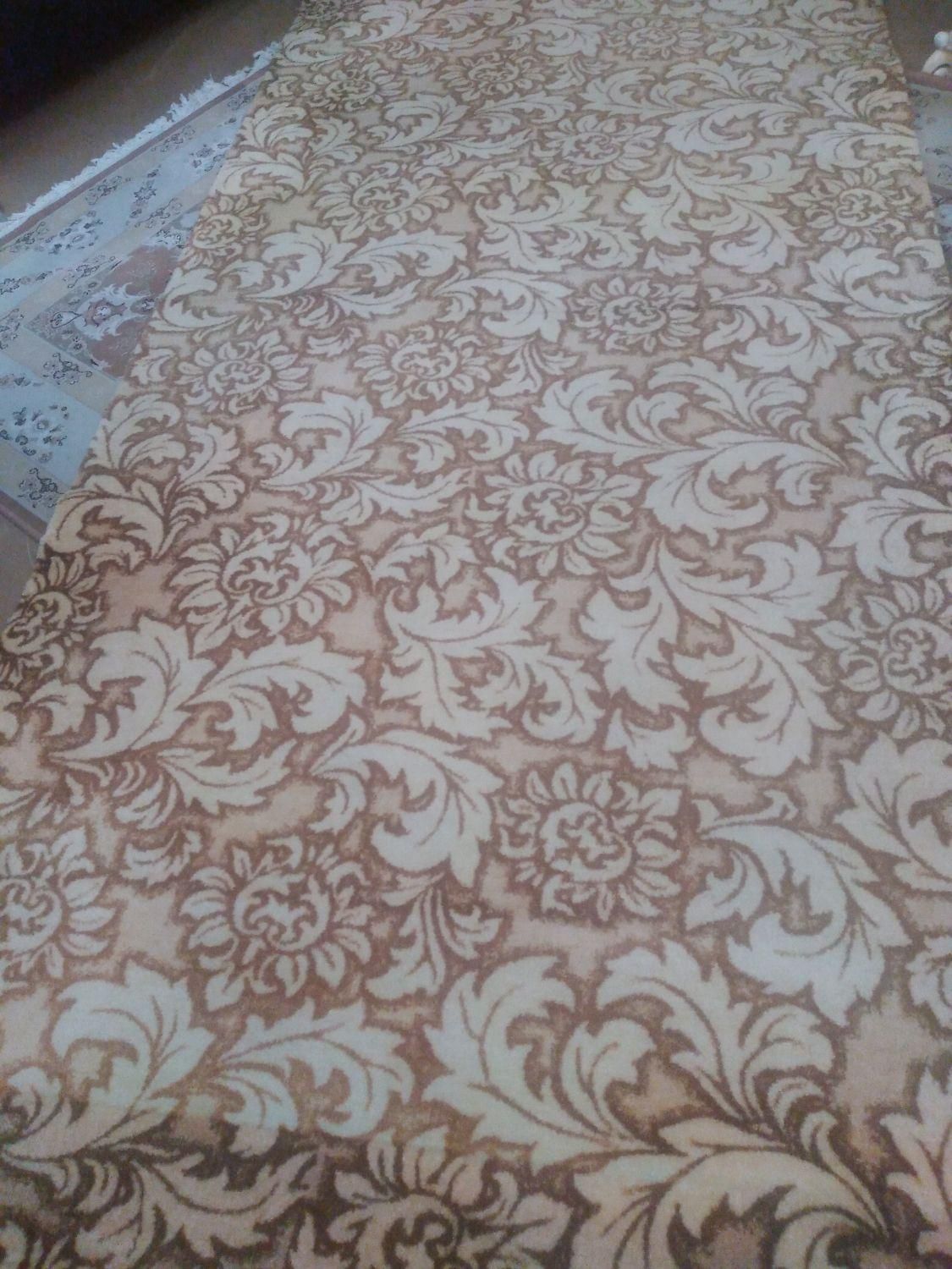 موکت بافت ماشینی|موکت|تبریز, |دیوار