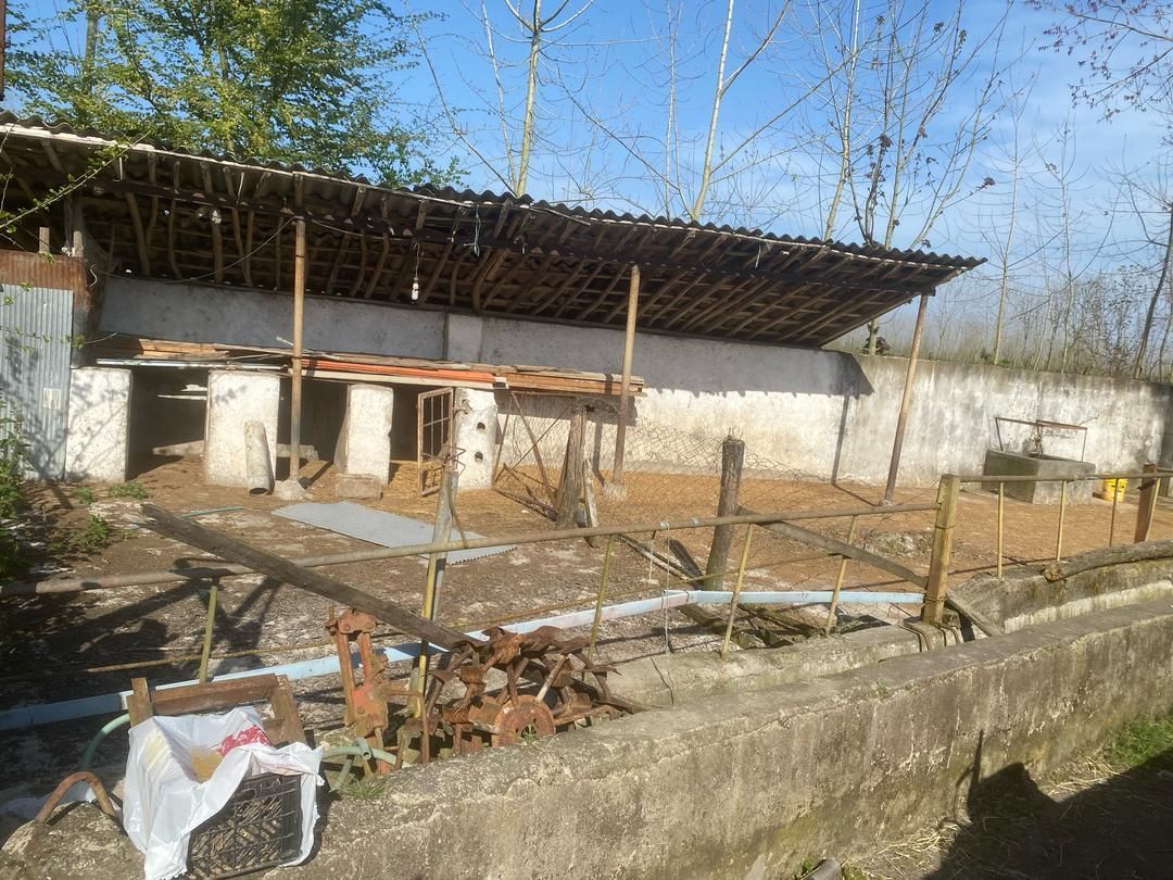 اجاره  دامداری ۱۲۰۰ متری در ابکنار بندر انزلی|اجارهٔ دفتر صنعتی، کشاورزی، تجاری|بندر انزلی, بشمن|دیوار
