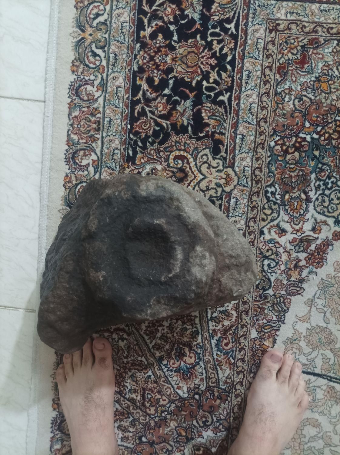 تندیس کله قوچ|کلکسیون اشیاء عتیقه|رباطکریم, الارد|دیوار