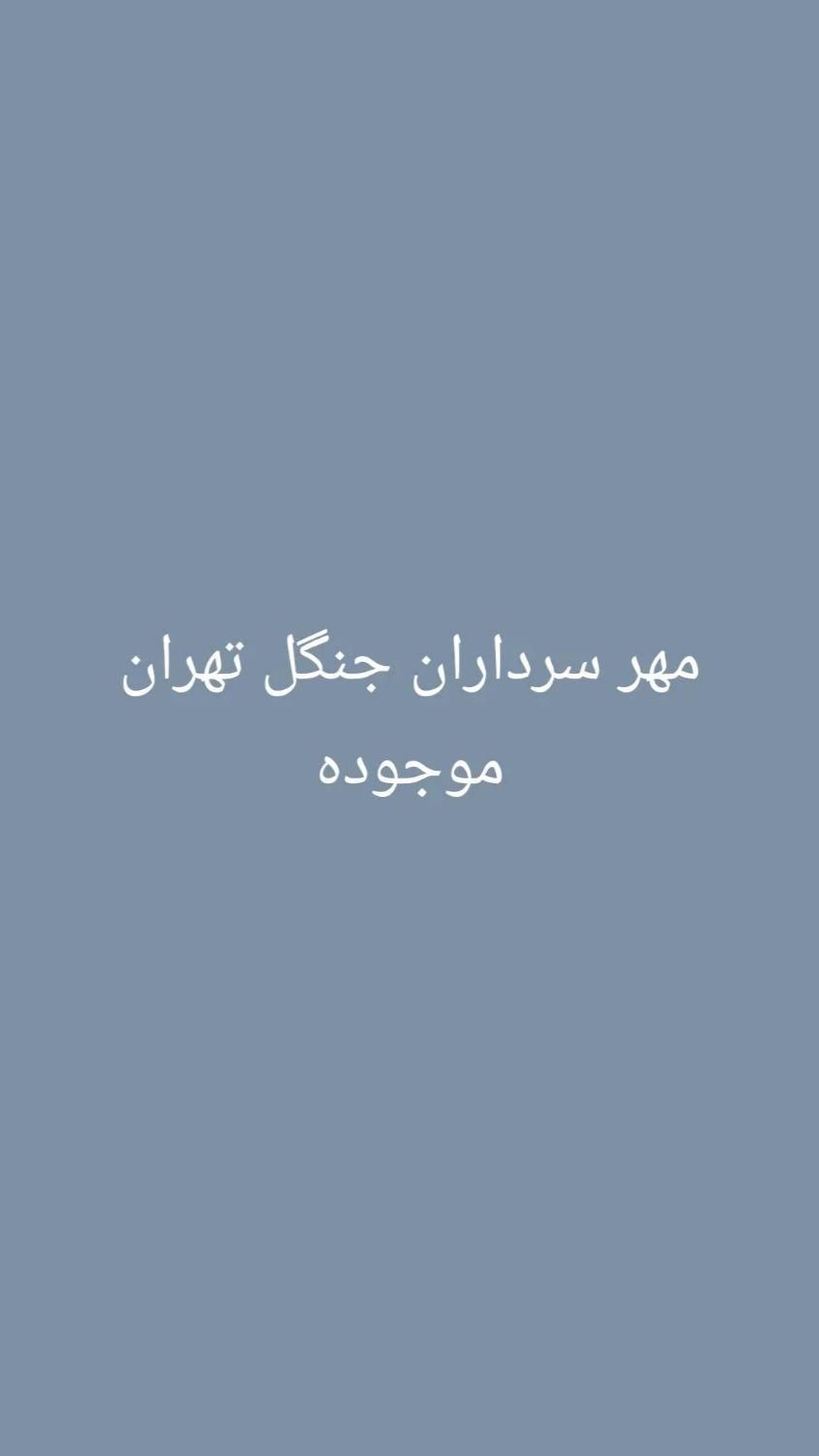 815 میلیون تومان امتیاز تهران|خدمات مالی، حسابداری، بیمه|تهران, امانیه|دیوار
