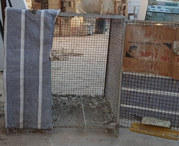 گنجه پرنده|پرنده|شیراز, لب آب|دیوار