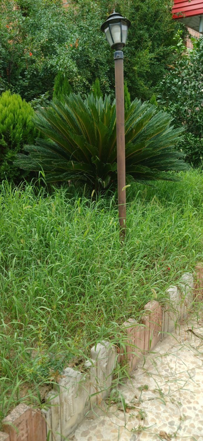 مجموعه خدماتی فضای سبز سبز آوران ارغوان|خدمات باغبانی و درختکاری|بابلسر, |دیوار