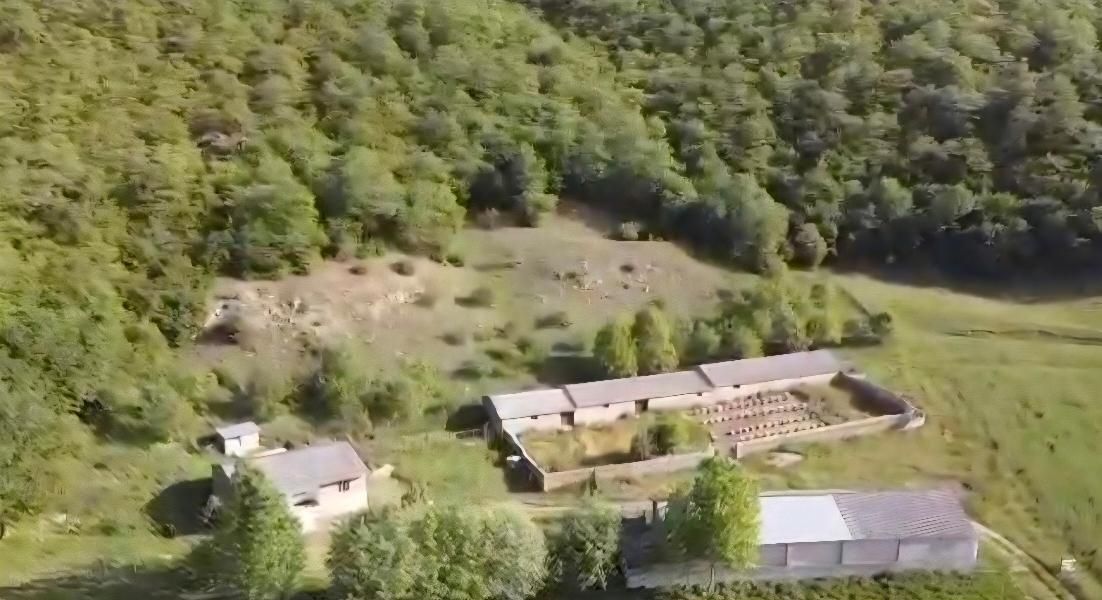 فروش مزرعه وتاسیسات دامپروری درمنطقه ۴دانگه ساری|فروش دفتر صنعتی، کشاورزی، تجاری|کیاسر, |دیوار