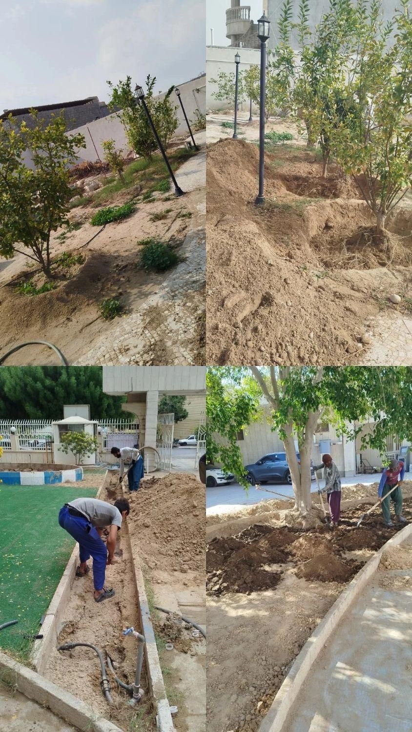 امورباغبانی و خونه باغ و باغات نخل|خدمات باغبانی و درختکاری|بوشهر, |دیوار