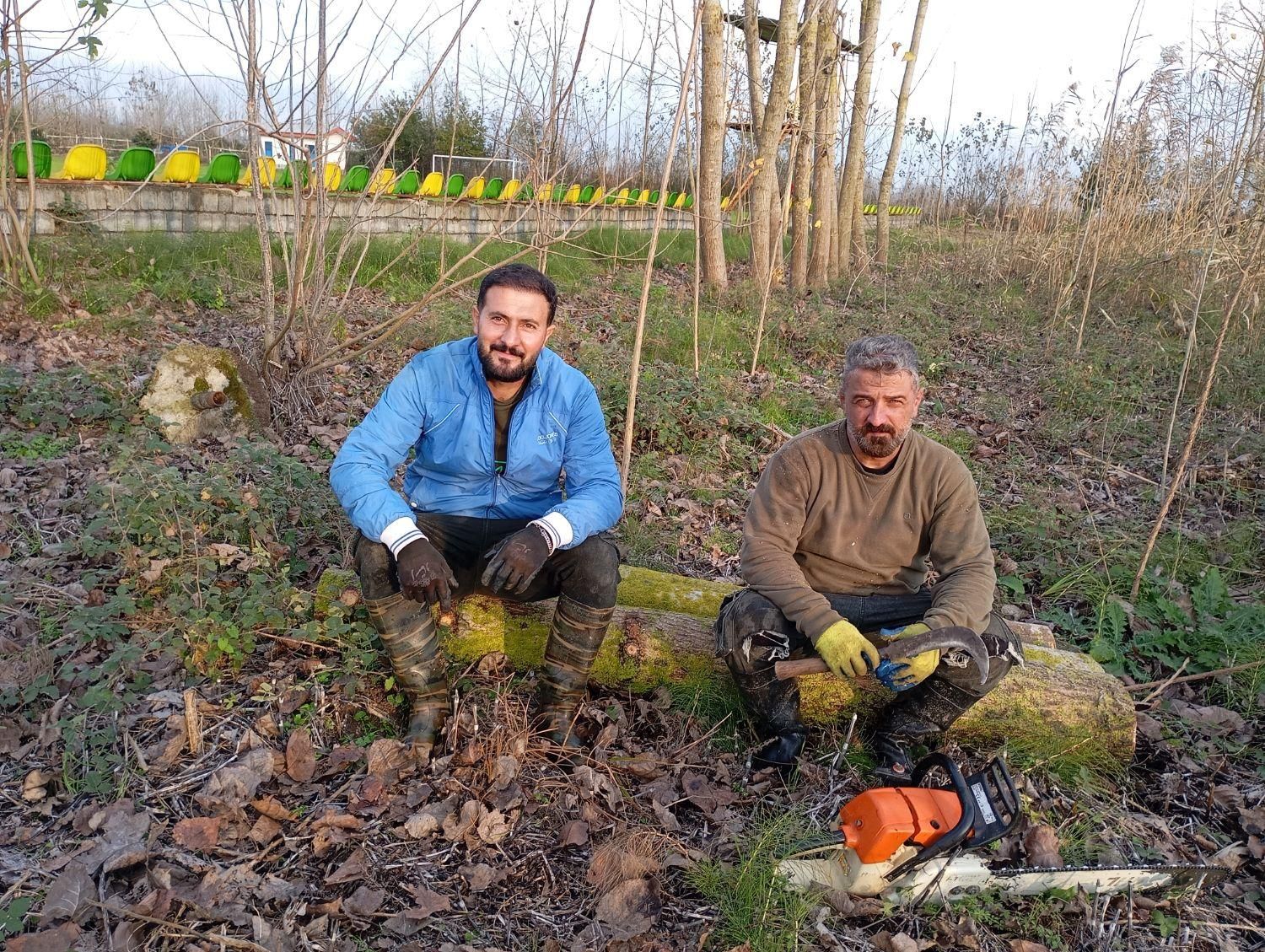 خرید انواع چوب صنوبر وجنگلی|خدمات باغبانی و درختکاری|لنگرود, |دیوار