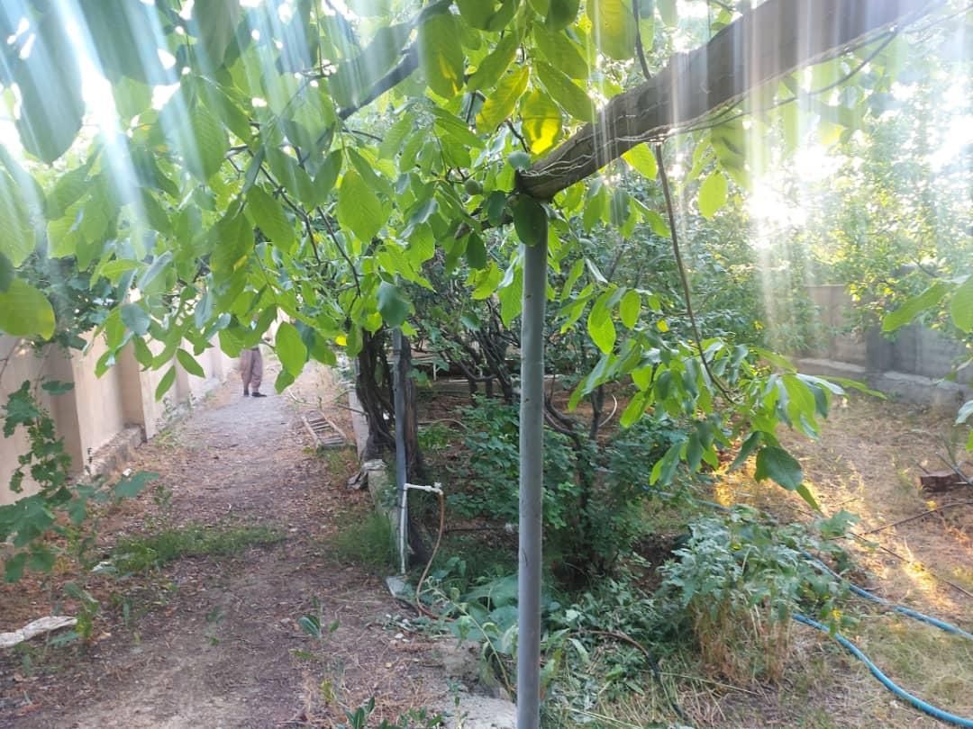 ۱۰۲۰ متر باغ / / ۹۱ متر بنا/چنار غرب/فوری فروشی|فروش زمین و ملک کلنگی|رودهن, |دیوار