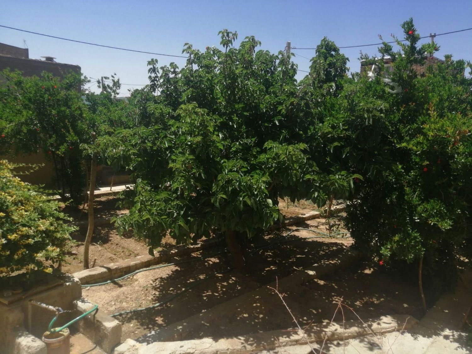 خانه ویلایی جهاد اباد شاهین شهر|اجارهٔ کوتاه‌مدت آپارتمان و سوئیت|شاهین‌شهر, برخوار غرب|دیوار