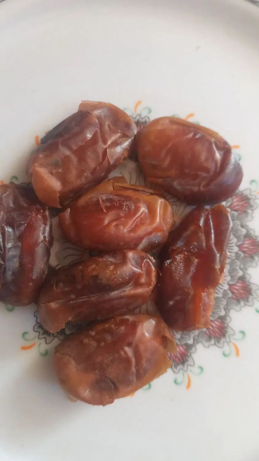 خرما کلگی بلوچستان|خوردنی و آشامیدنی|تهران, باغ فیض|دیوار