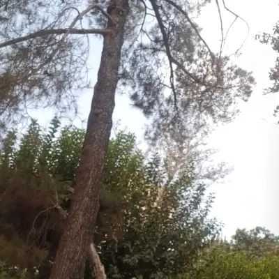 ختم قرآن کریم چهل یاسین،...|خدمات پذیرایی، مراسم|تهران, تهران پارس|دیوار