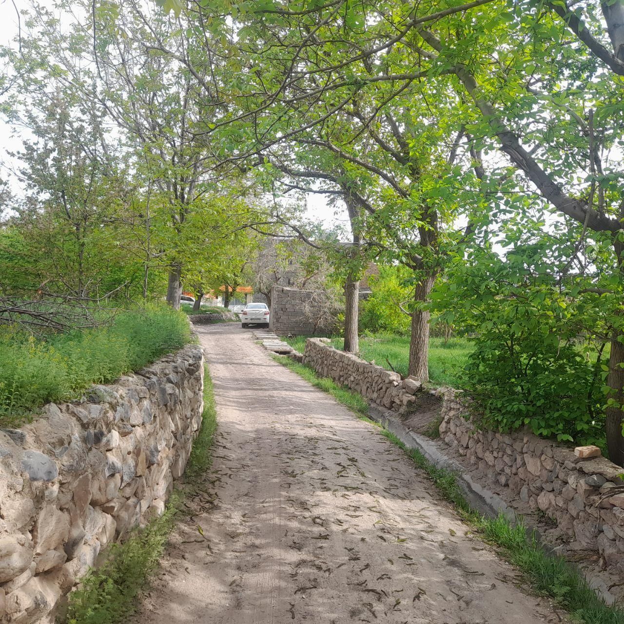 اجاره سوئیت در جاده بوژان( روستای بوژاباد)|اجارهٔ کوتاه‌مدت ویلا و باغ|نیشابور, فضل|دیوار