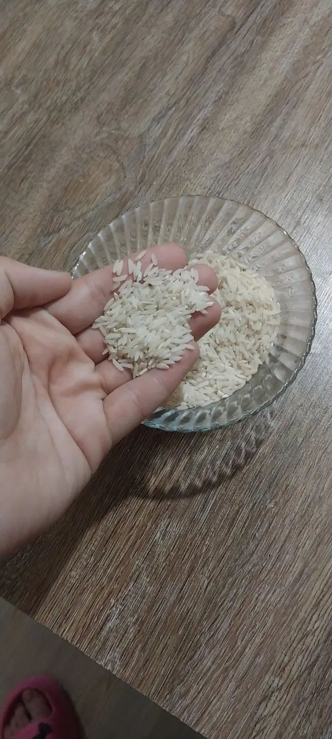 فروش برنج طارم هاشمی درجه ۱ بوجاری و سورتینگ شده|حراج|تهران, مهران|دیوار