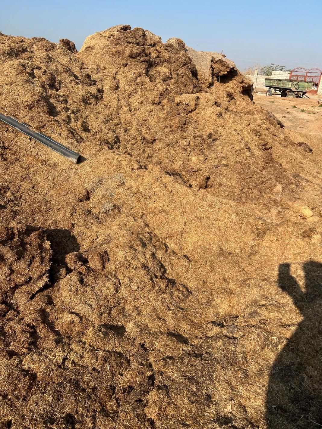 کاه پارسال|حیوانات مزرعه|شوشتر, |دیوار