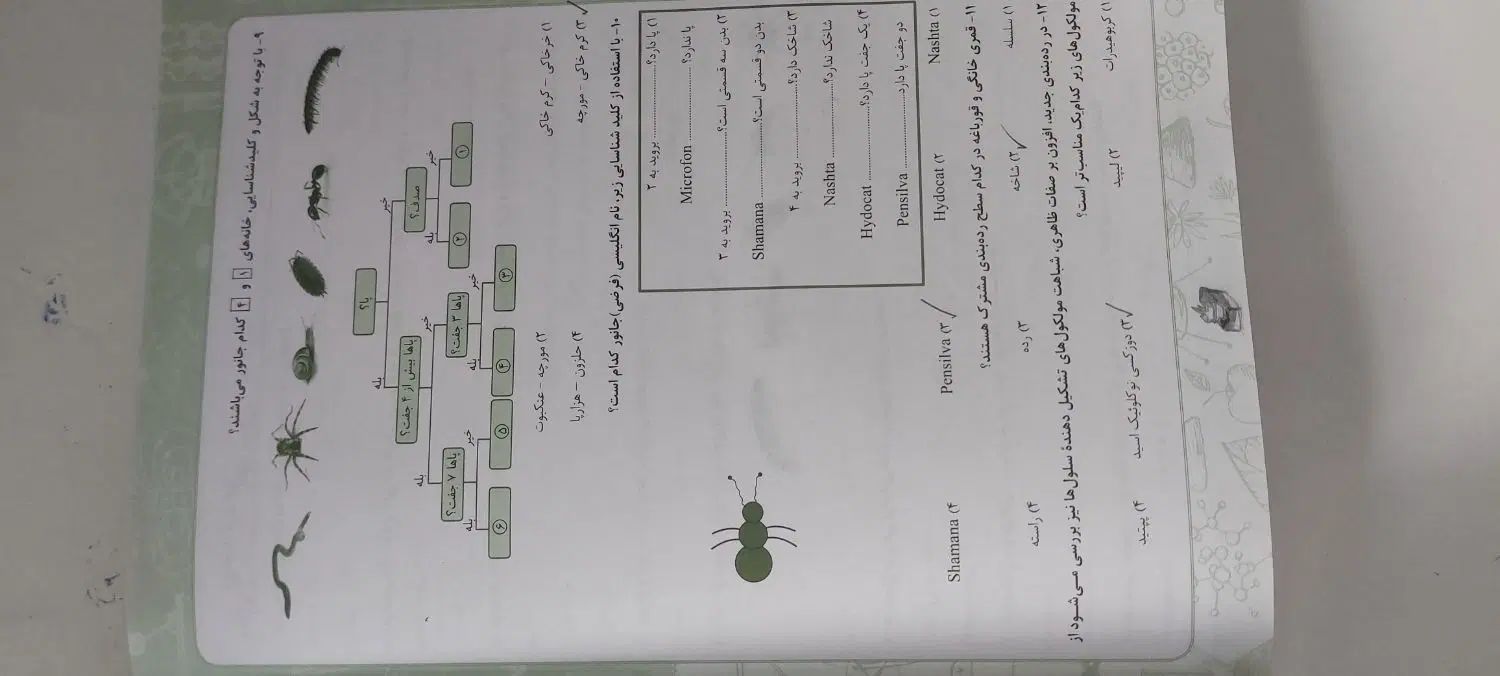 کتاب علوم نهم حرفه ها مناسب قبولی در تیزهوشان|کتاب و مجله آموزشی|لاهیجان, گلستان|دیوار