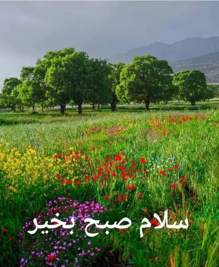 خیابان مطهری به طالقانی کوچه معاینه فنی|فروش زمین و ملک کلنگی|خرمدره, |دیوار