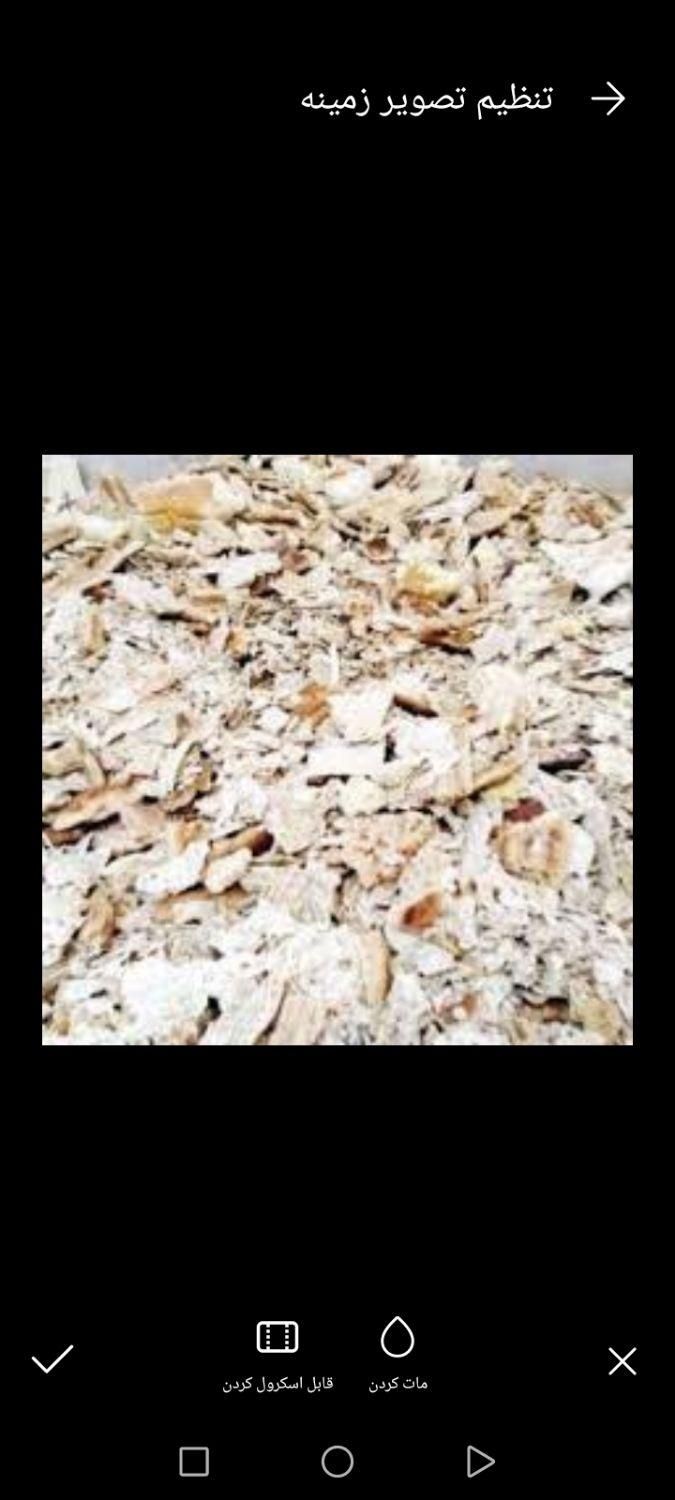 خریدضعایات نان خشک|خوردنی و آشامیدنی|تربت‌حیدریه, ترمینال|دیوار