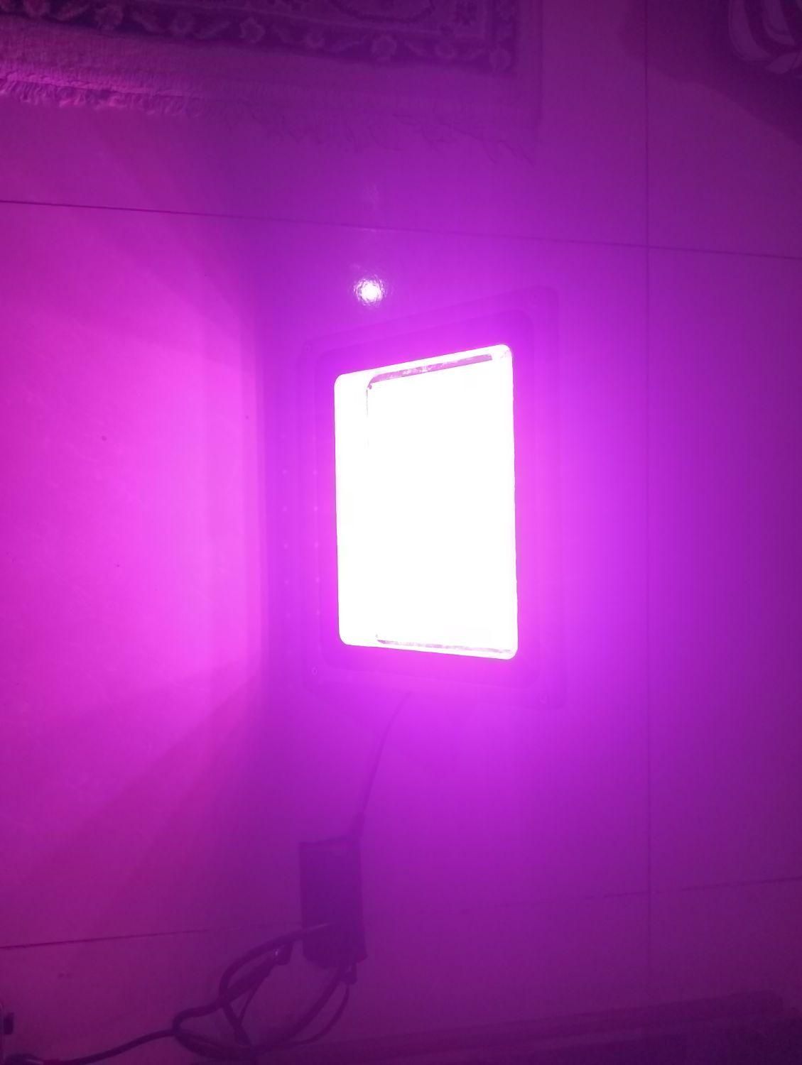 LED پرورش گیاه|لامپ و چراغ|اصفهان, شفق|دیوار