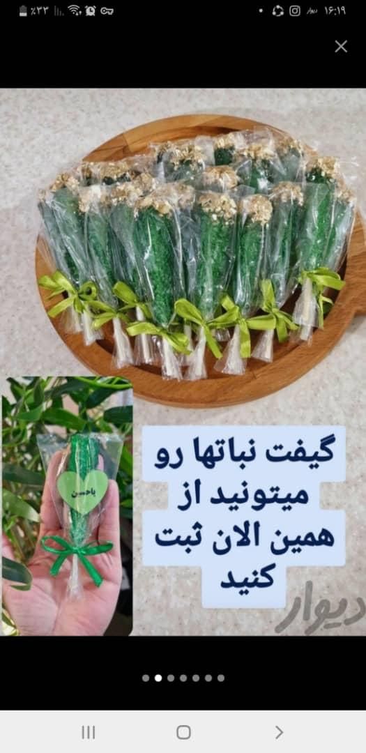 شمع و نباتهای محرمی قابل سفارش هستند|صنایع دستی و سایر لوازم تزئینی|بندر ماهشهر, |دیوار