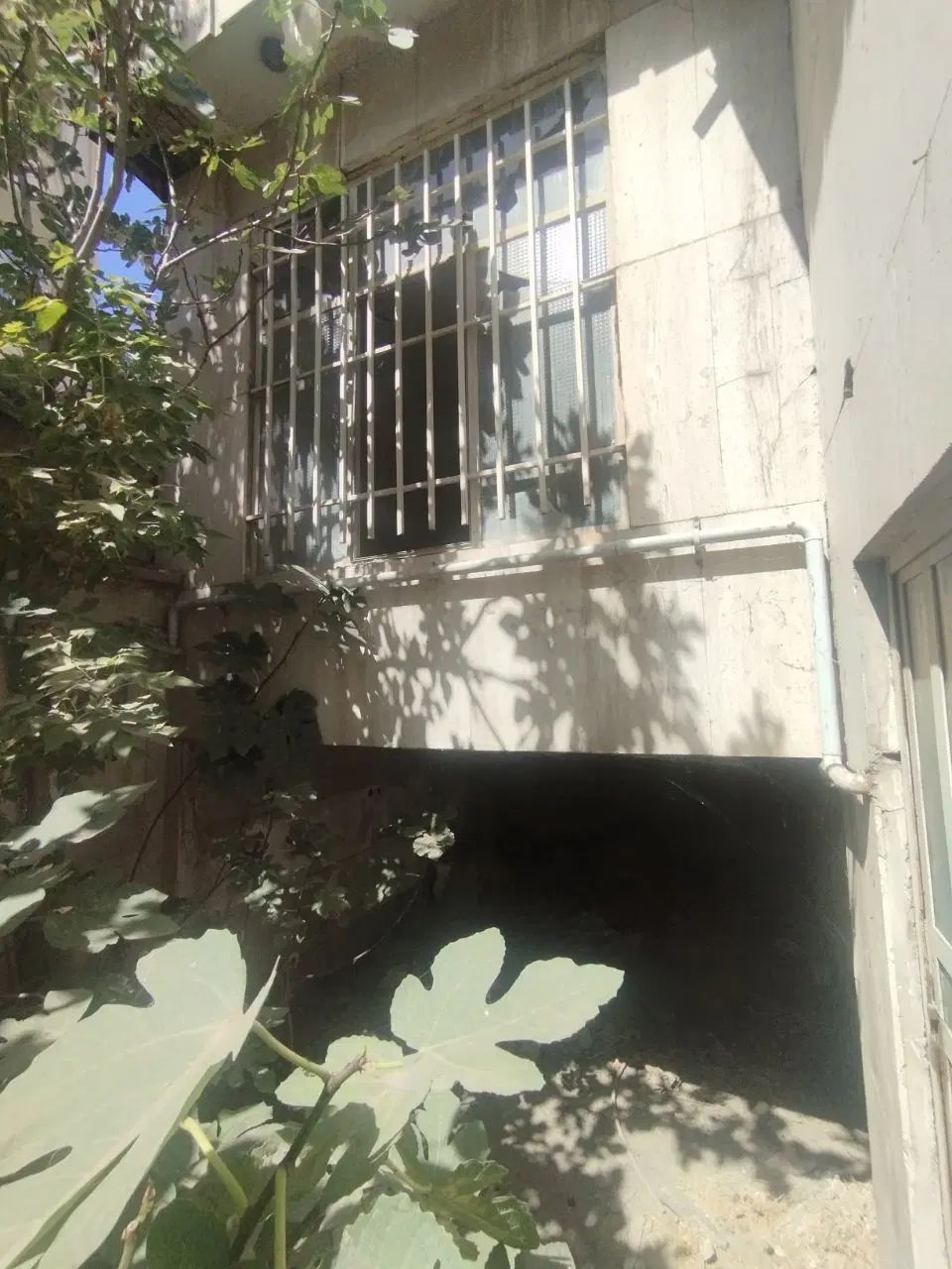 ۲۰۰ متر  ویلایی. پژمان .هاشمی نژاد .عبادی|فروش خانه و ویلا|مشهد, عبادی|دیوار