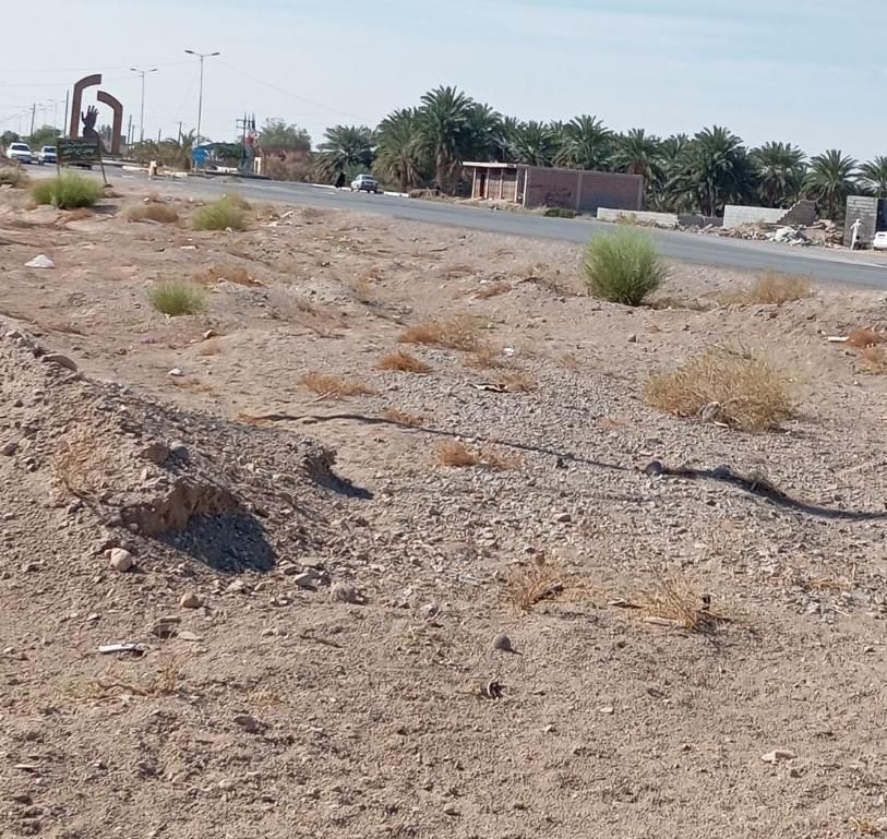 جا مغازه فروشی زمین خالی دلگان متراژ 5در10|فروش مغازه و غرفه|ایرانشهر, |دیوار