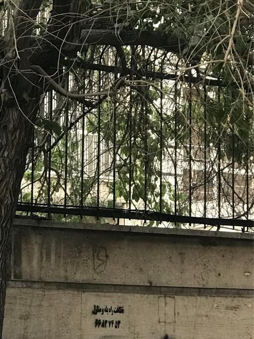 اجاره آپارتمان ۱۱۰ متری با ۲۰ متر انباری،لاله زار|اجارهٔ آپارتمان|تهران, فردوسی|دیوار