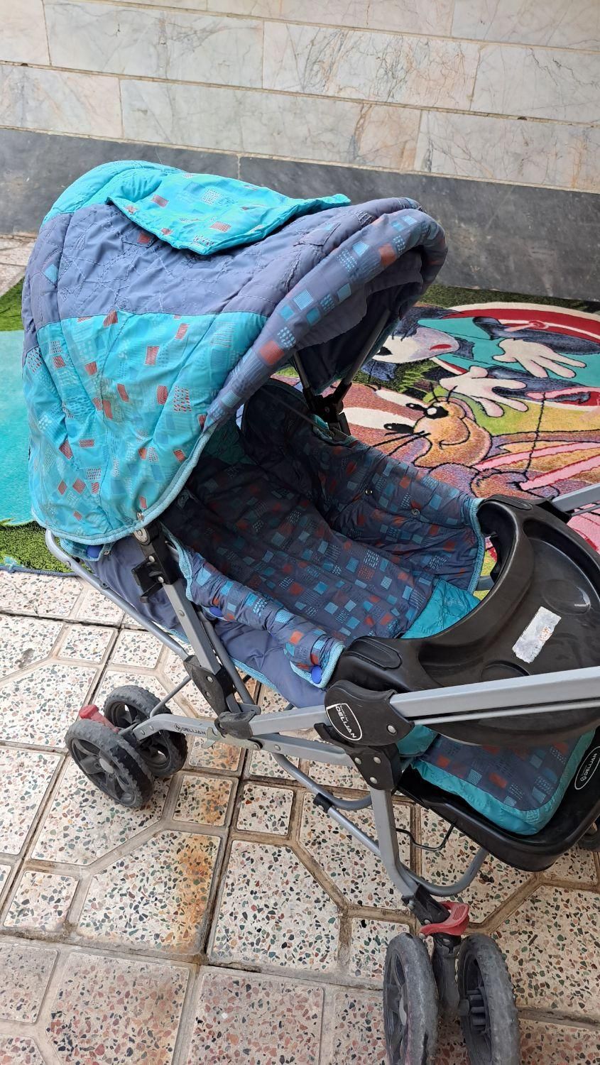 فرش کودک|اسباب و اثاث بچه|گلستان (تهران), |دیوار