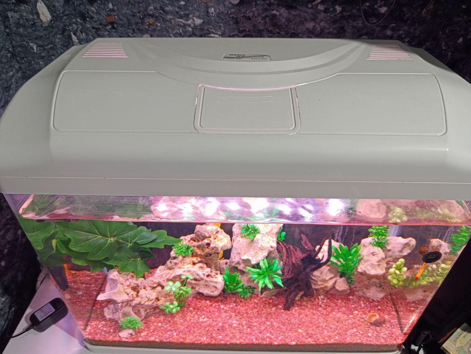 آکواریوم شرکتی شیشه خم K580 دلسا با لوازم|ماهی|شیراز, شهرک فرزانگان|دیوار