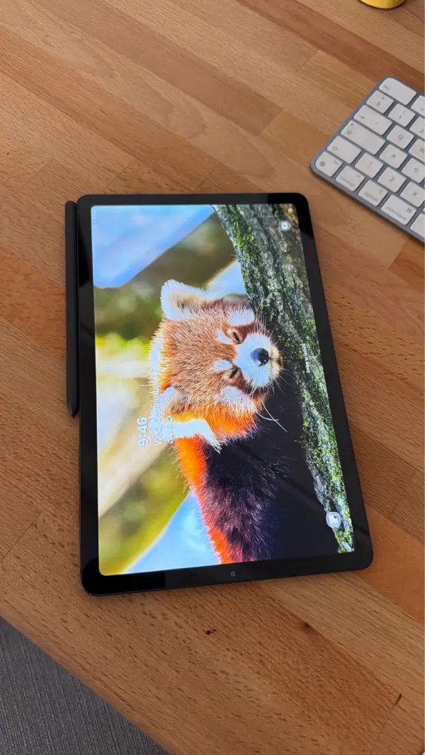 تبلت سامسونگ Galaxy Tab S6 Lite 4G|تبلت|تهران, سازمان برنامه شمالی|دیوار