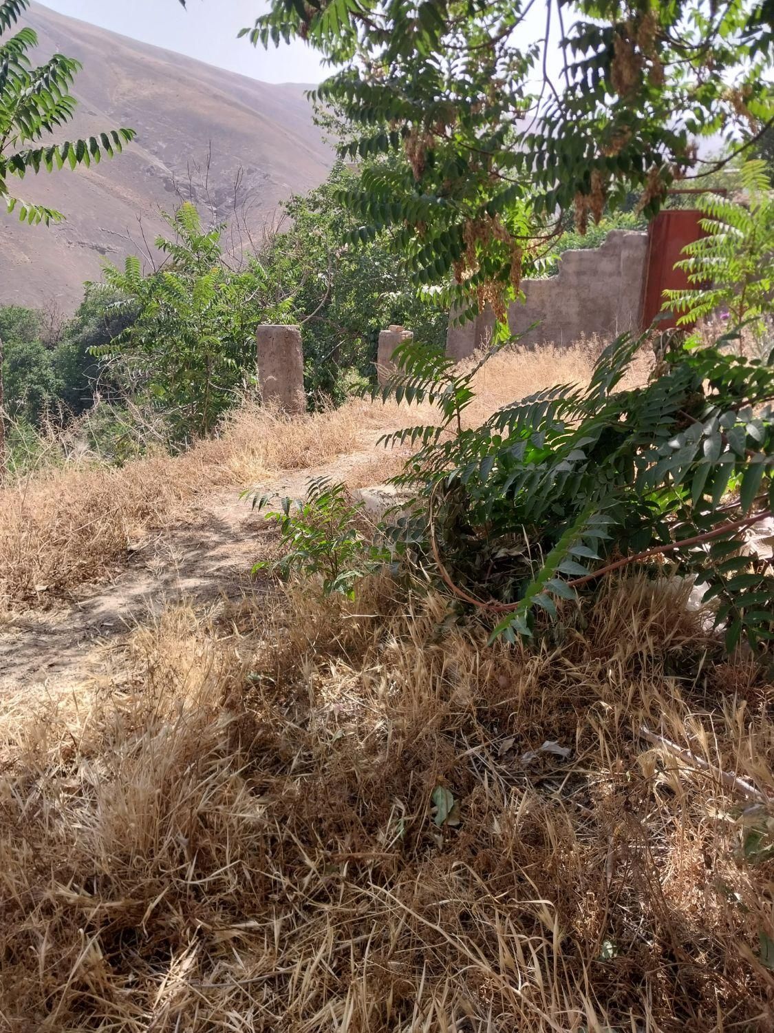 فروش زمین ۱۶۰ متری در کن|فروش زمین و ملک کلنگی|تهران, کن|دیوار