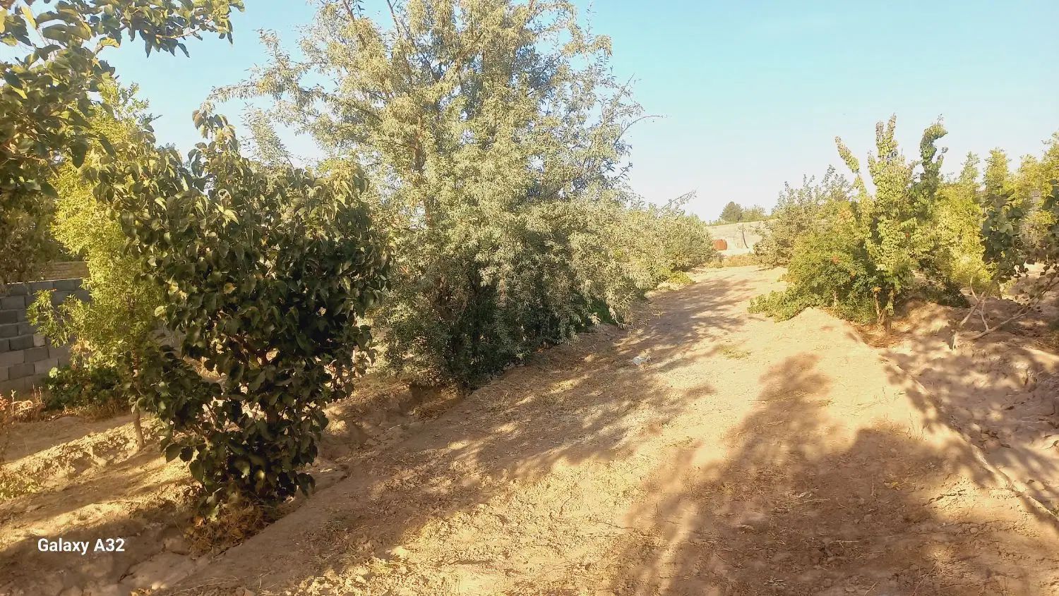 تصویر 3