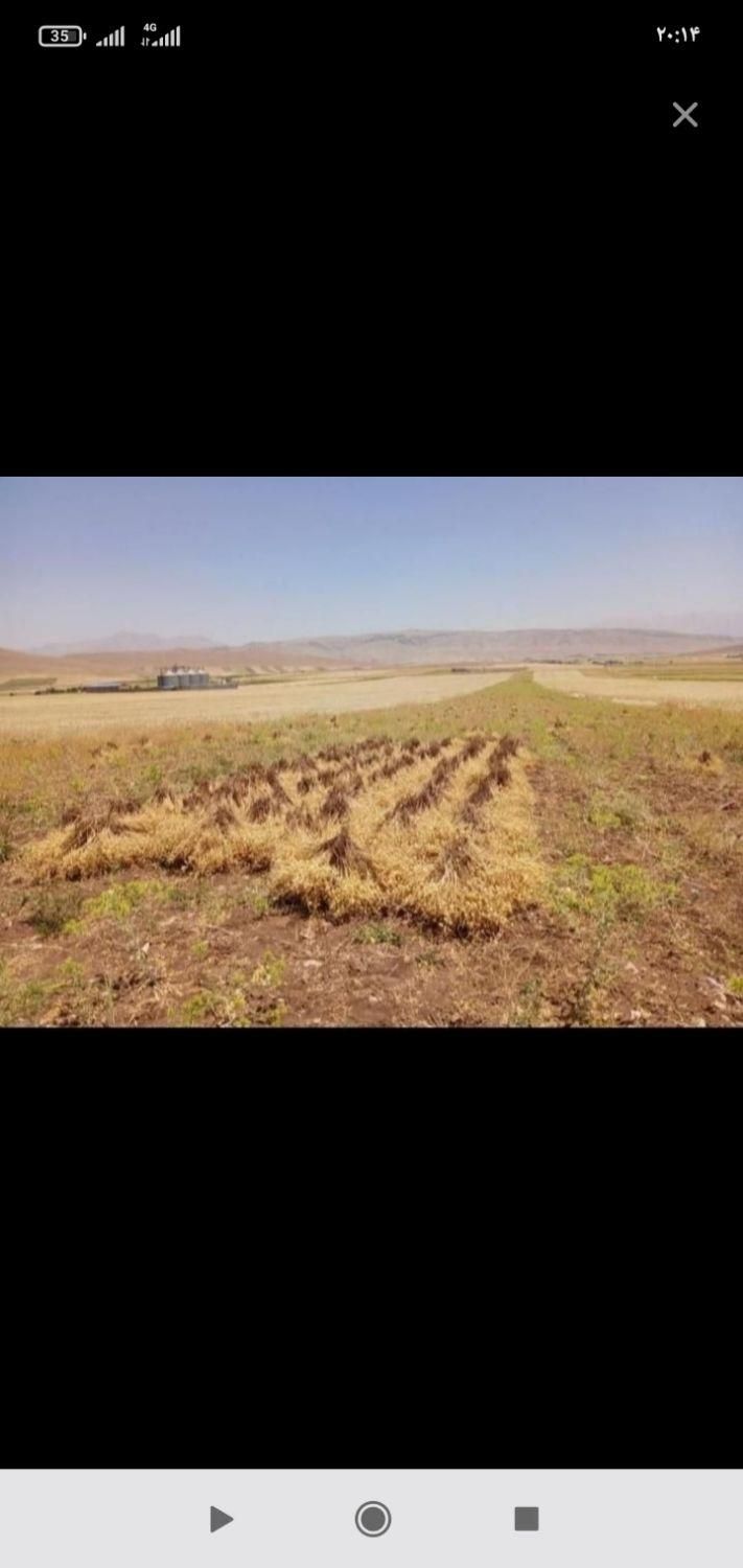 سرکارگر امور کشاورزی انبار سرد خانه آقای سنجابی|خدمات باغبانی و درختکاری|کرمانشاه, |دیوار