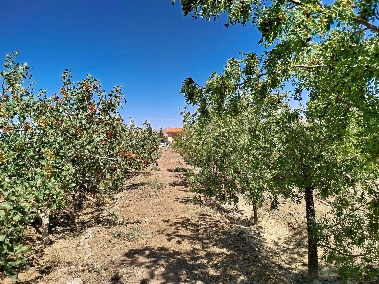 تصویر 5