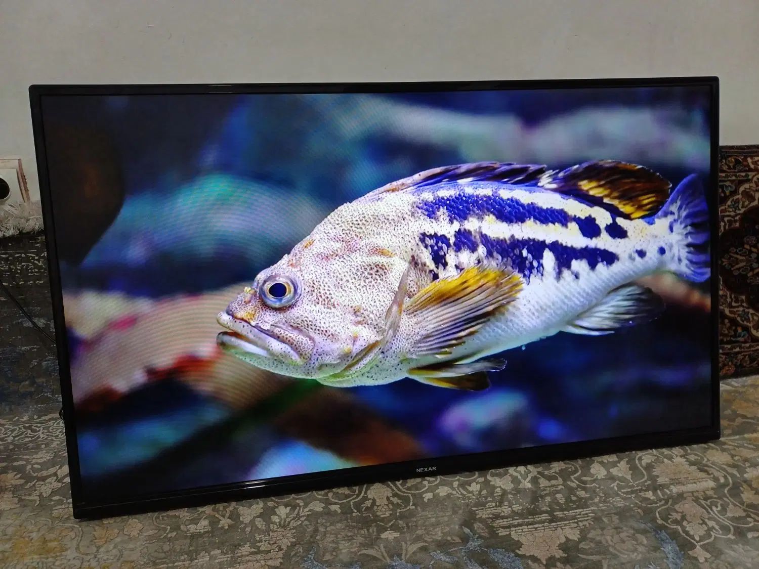 ال ای دی ۴۳ نکسار در حد اک پخش 4k|تلویزیون و پروژکتور|مشهد, شهرک مهر آباد|دیوار
