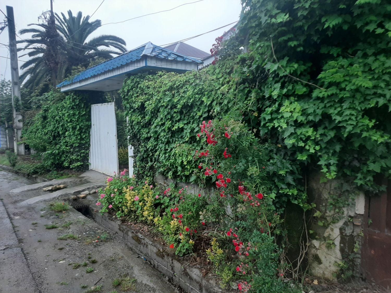 آپارتمان ۳۵ متری در نزدیکی دریا تنکابن|اجارهٔ کوتاه‌مدت آپارتمان و سوئیت|تنکابن, |دیوار