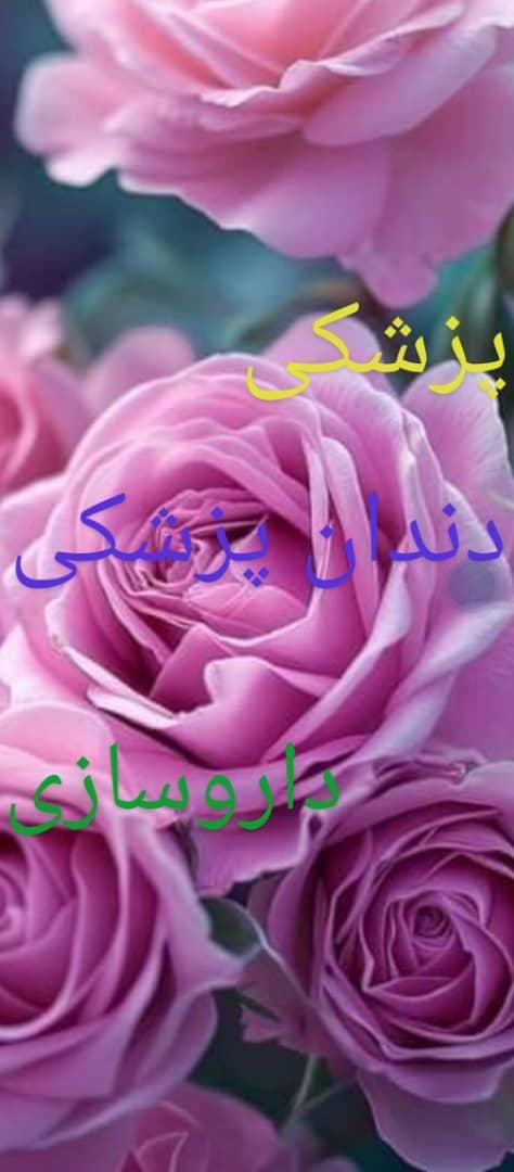 مشاوره و برنامه ریزی کنکور پزشکی|خدمات آموزشی|رشت, گلسار|دیوار
