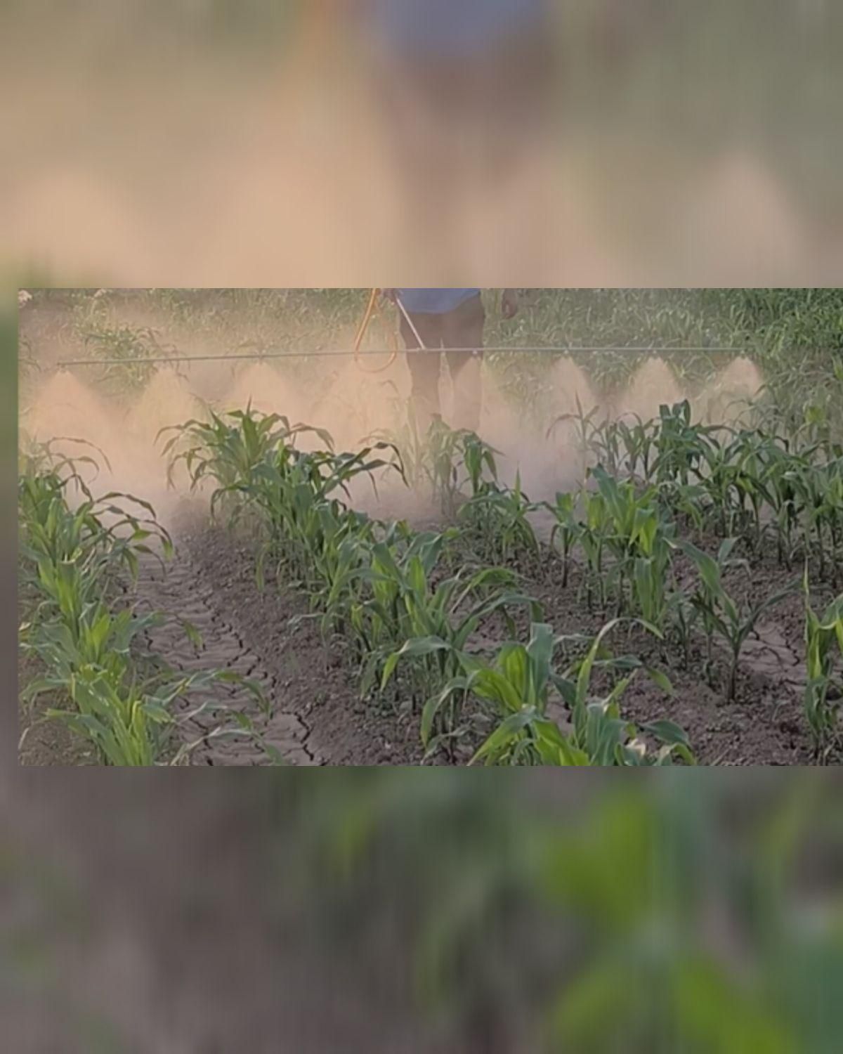 سمپاشی زمین کشاوزی با لانس|خدمات باغبانی و درختکاری|پارسآباد, |دیوار