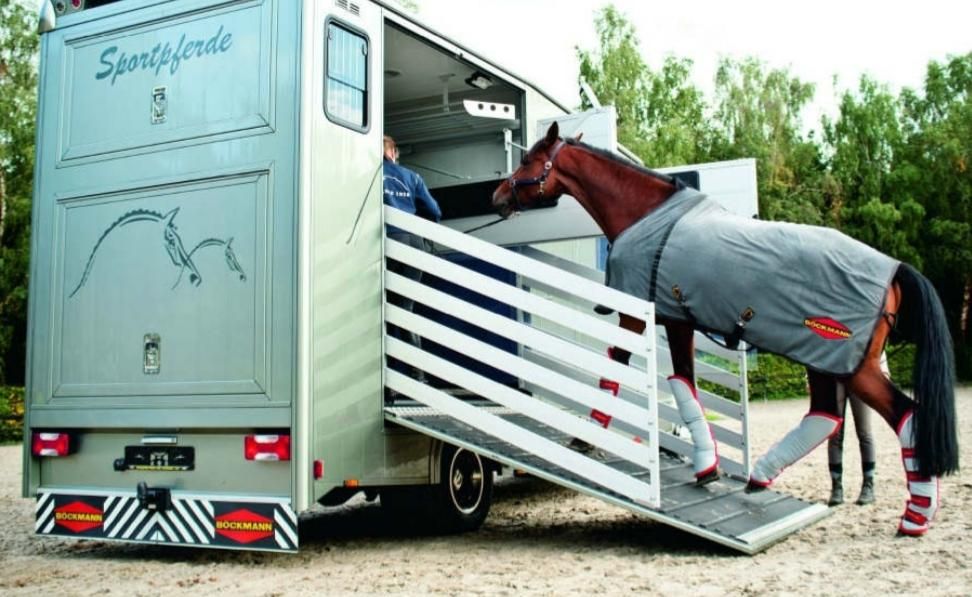 اسبکش های ۲ و ۴ اسبه ایمن پادوک|اسب و تجهیزات اسب‌سواری|تهران, چیتگر جنوبی|دیوار