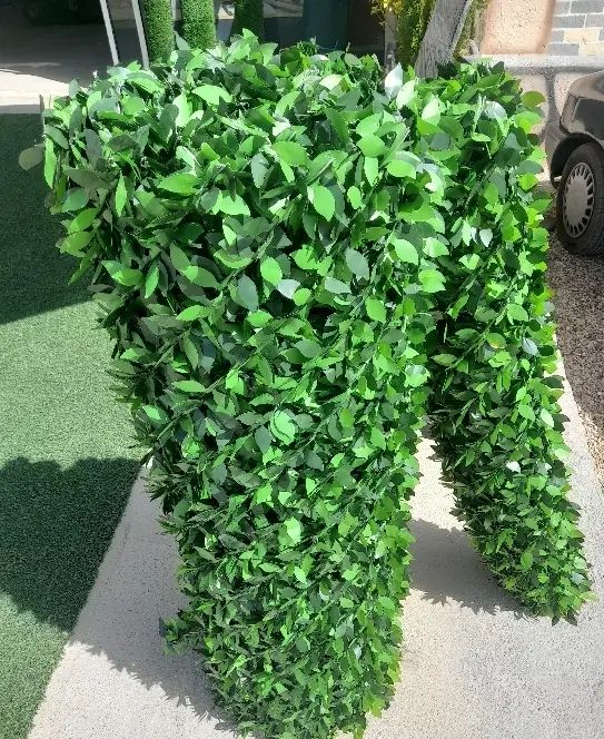 فنس چمنی ریشه ای برگی شید|عمده‌فروشی|شیراز, علوم پزشکی|دیوار