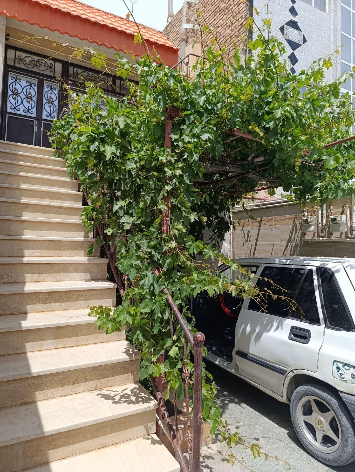 تصویر 2