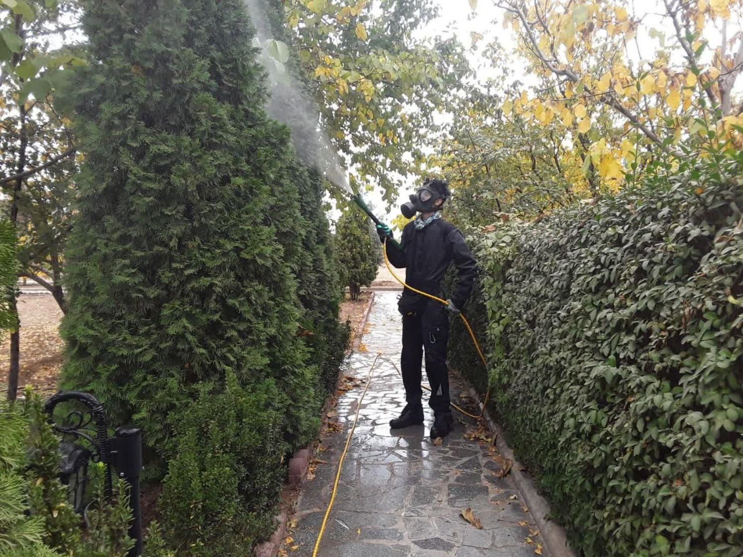 خدمات پاکسازی حشرات و آفات جاجرود پردیس رودهن|خدمات باغبانی و درختکاری|رودهن, |دیوار