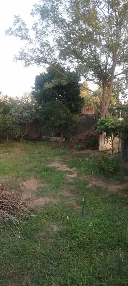 283متری محصورشده/سندتک برگ/3کنتور وصل/منطقه آزاد|فروش زمین و ملک کلنگی|بندر انزلی, جفرود پایین|دیوار
