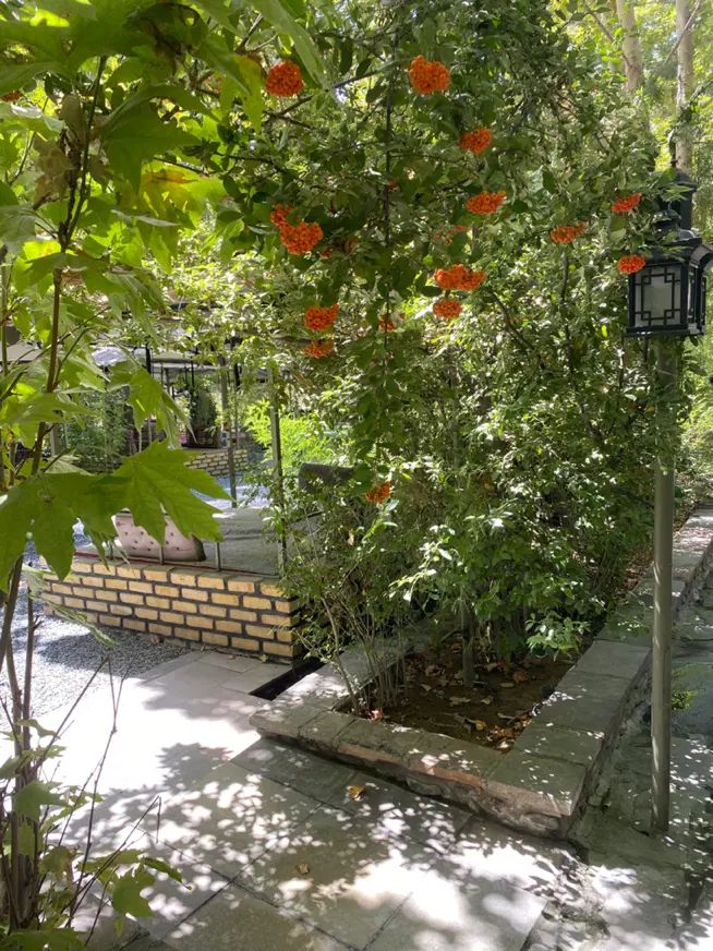 استخدام نیرو برای کافه رستوران خانم و اقا|استخدام خدمات فروشگاه و رستوران|کوهسار (البرز), |دیوار