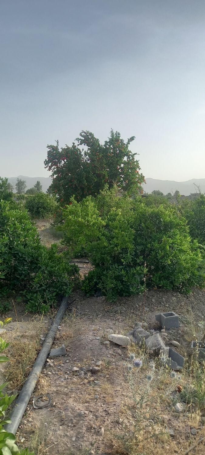 زمین باغ شهر با قابلیت تغییرکاربری|فروش دفتر صنعتی، کشاورزی، تجاری|فسا, |دیوار