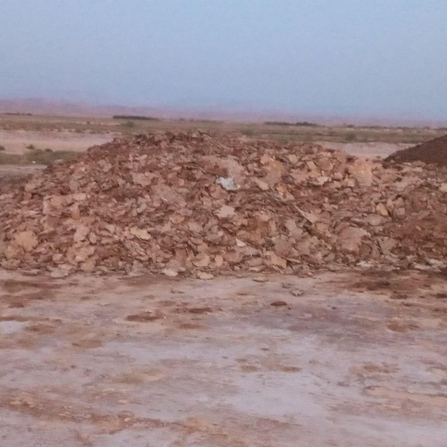 بشرط سالنی کود مرغی|حراج|رامشیر, |دیوار