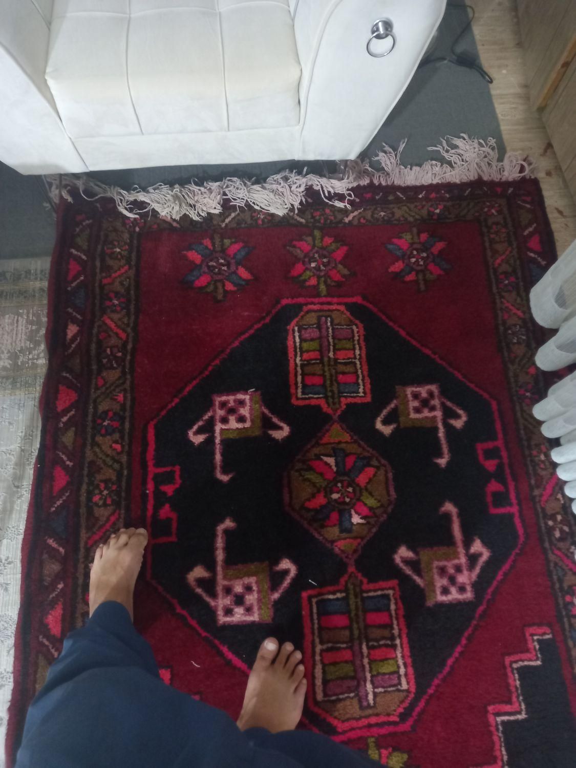 قالی‌دست‌بافت‌۶متری‌بسیارتمیز|فرش|قم, علی آباد سعدگان|دیوار