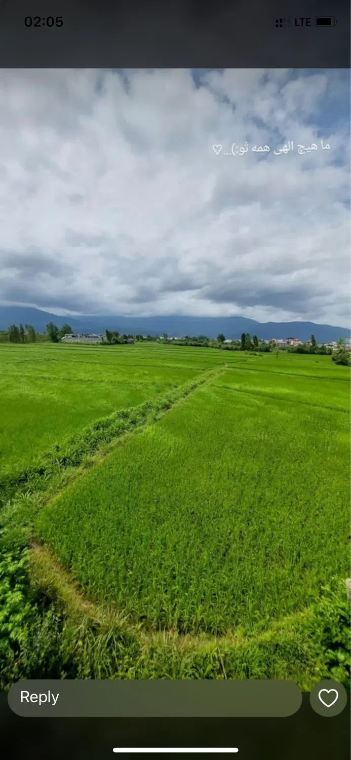 ۲۶۰مترزمین سند۶دانگ،،۳۰۰مترمجوزساخت بهترین فرعی|فروش زمین و ملک کلنگی|هچیرود, |دیوار