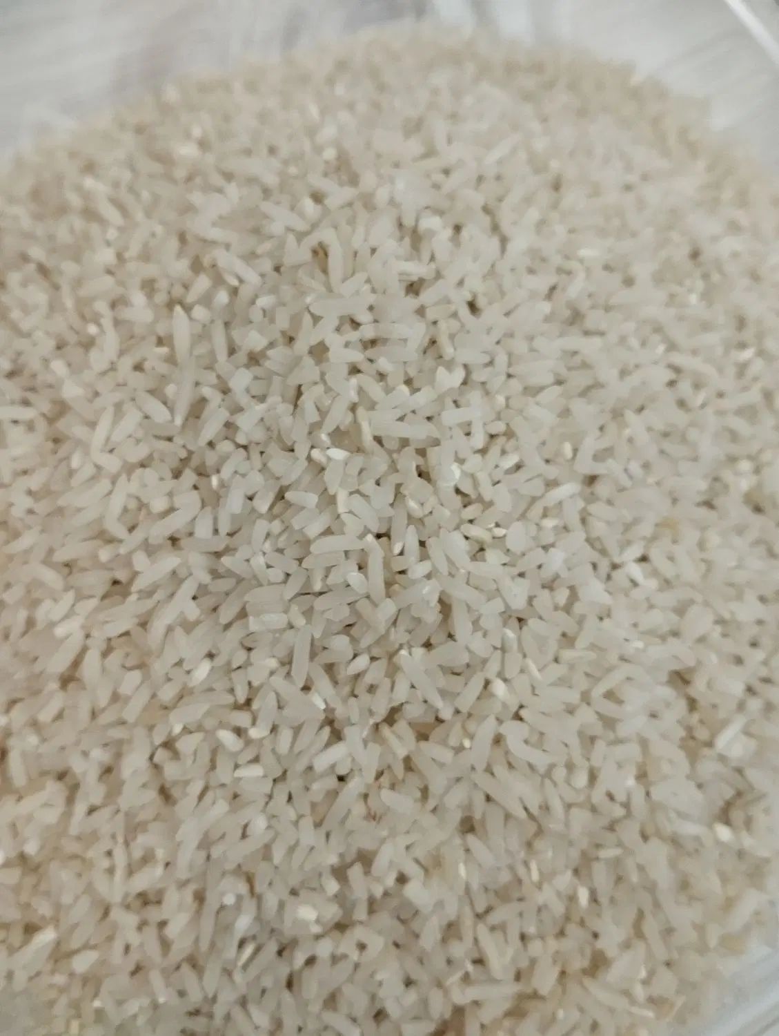 برنج سرلاشه طارم هاشمی|خوردنی و آشامیدنی|تهران, مجیدآباد|دیوار