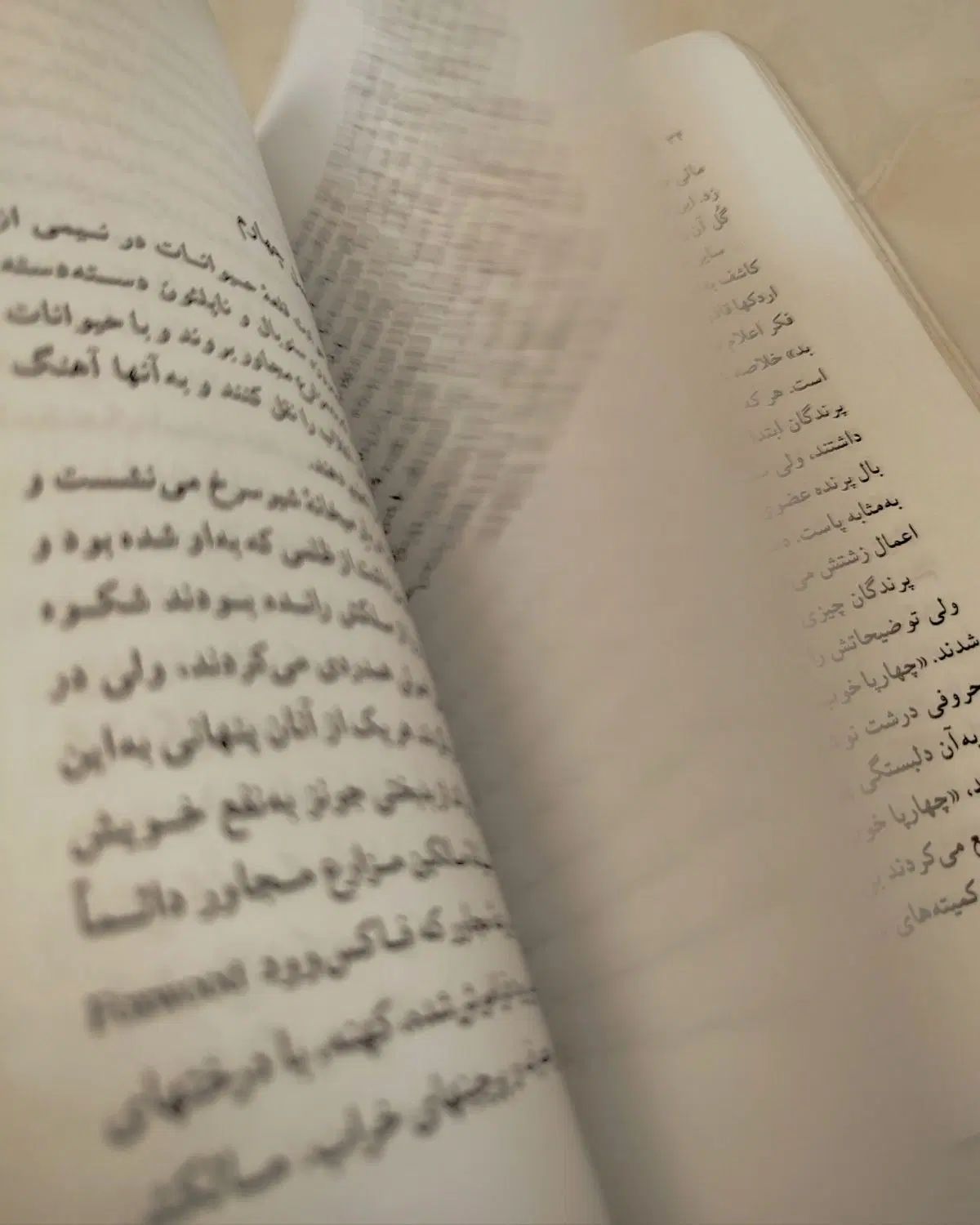 کتاب «قلعه حیوانات»|کتاب و مجله ادبی|مشهد, احمدآباد|دیوار
